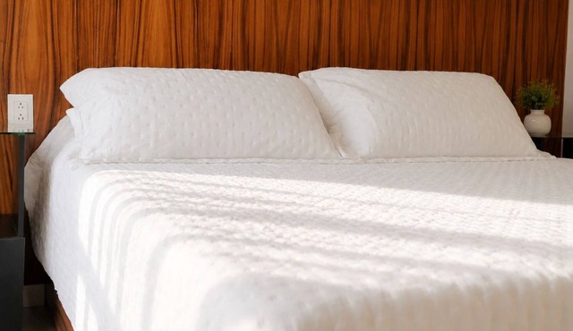 Deluxe Suite King size bed, kitchen and internet. Near event gardens 3 in Cuernavaca