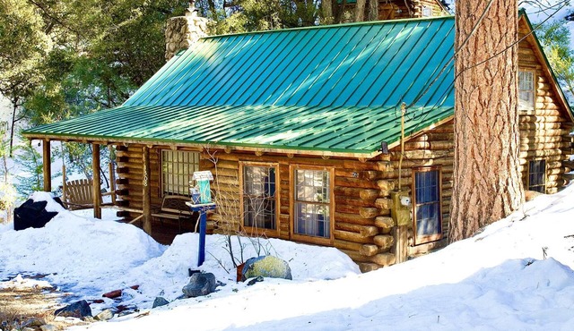 Eat Bacon & Ice Cream in a Log Cabin! PMC Guest Cards/Pool Included! in Pine Mountain Club