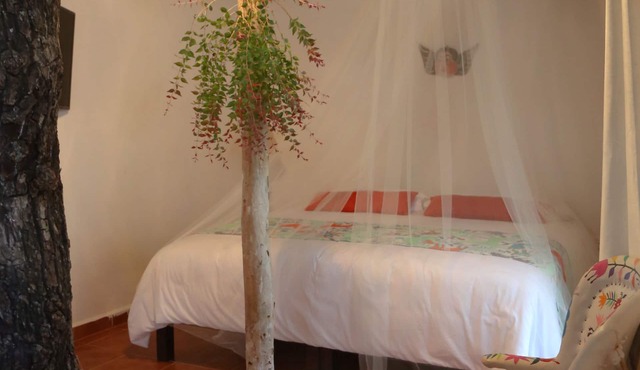 Ecovergel Riviera Maya Hotel Boutique