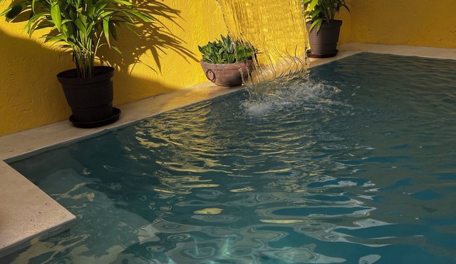 Elegant and spacious house just 5 min from the ocean