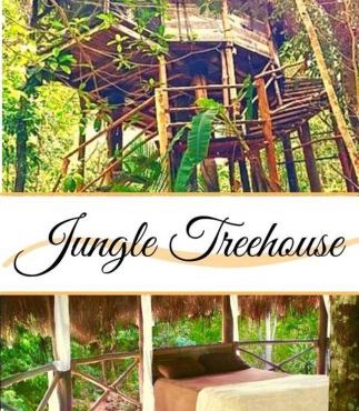 Exclusive Treehouse and Cenote - Sweet Jungle Dreams