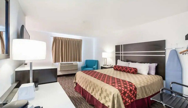 Explore the Area from a Modern, Stylish Room | Breakfast & Parking Available in Charlotte