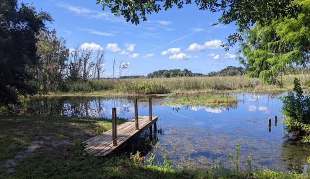 Fisherman's dream in Hernando