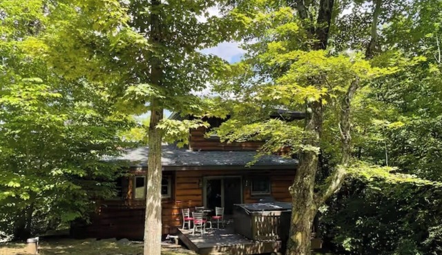 Hidden gem 2 bedroom chalet in Ellicottville minutes from Holiday Valley-hot tub in Great Valley