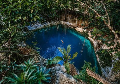 Hotel Boutique Cenote Secreto Maya