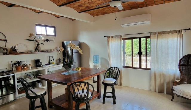 Luxury King Sunset Suite in Boutique Hotel Casa Botanica in Lo de Marcos