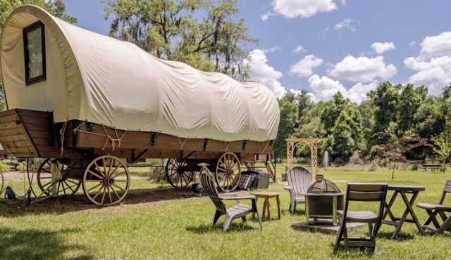 Luxury Wagon Farm Experience + Perks in Melrose