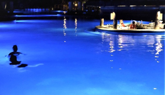 The Grand Mayan; Luxury in a Beautiful Jungle with Warm, Sunny Beaches! in Playa del Carmen Riviera Maya