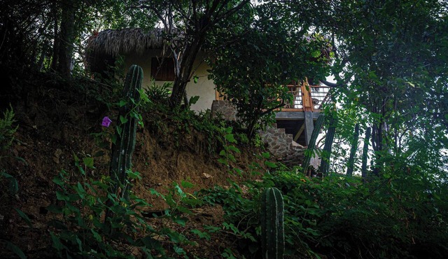 Ocean view cabin 5 minutes from the beach in Mazunte