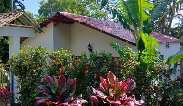 PETIT PARADIS CABAÑA Catemaco Rainforest Nature in Catemaco