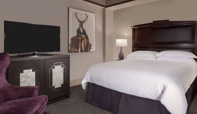 Romance Jacuzzi Room at The Ashton Hotel, Steps To General Worth Square! in Fort Worth