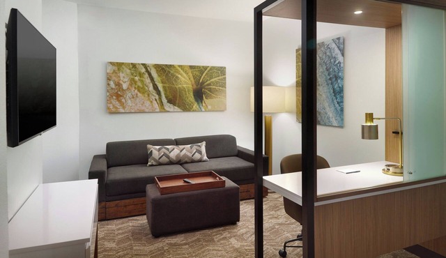 Springhill Suites By Marriott Ellijay in Ellijay
