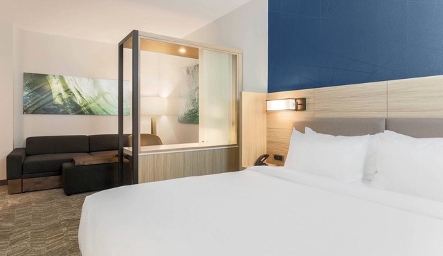 SpringHill Suites by Marriott Tallahassee North in Tallahassee