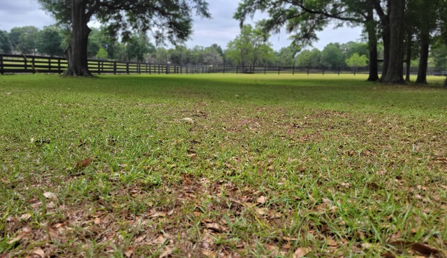 The Lonestar Whitt Ranch in O'Brien