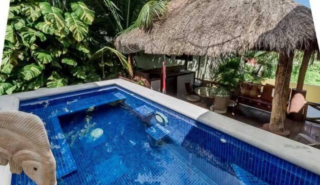 Tropical Refuge in the Heart of a Great Neighborhood