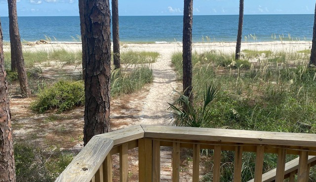 "Tucked Away" Private Beachfront Home in Secluded Area in Alligator Point