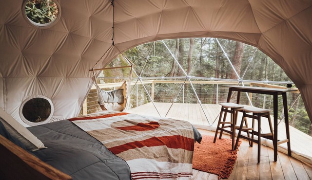 Turtle Dome Treehouse: part of the dome town village! in Campton