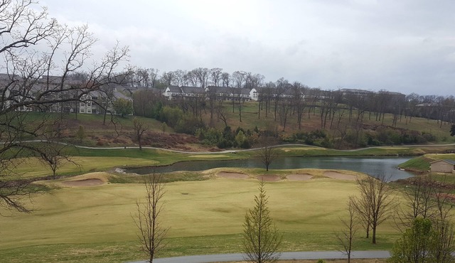 Walk-In Level - Newly Updated - Awesome View - Center Of Town in Branson