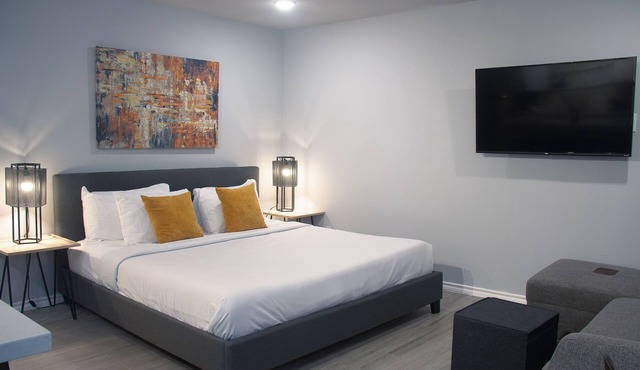 Your Montrose Studios! Sleeps 40/20BR/20BA/20PA in Houston