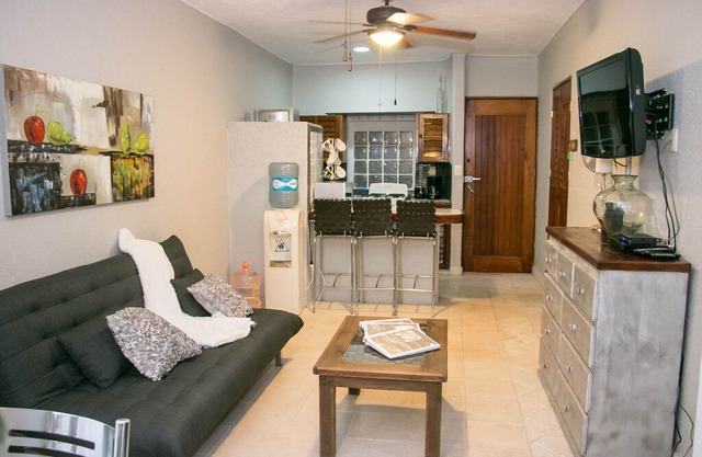 Beautiful condo a few steps from 5th avenue and Mamitas beach