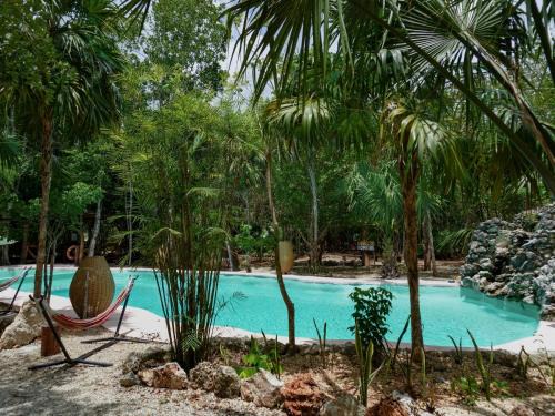 Jolie Jungle Eco Hotel 