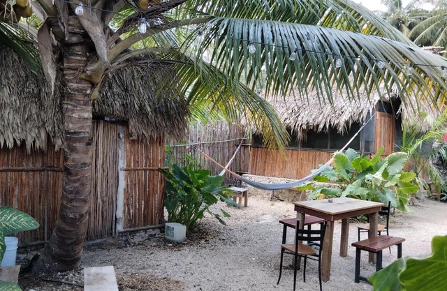 Muelle36 Hostel