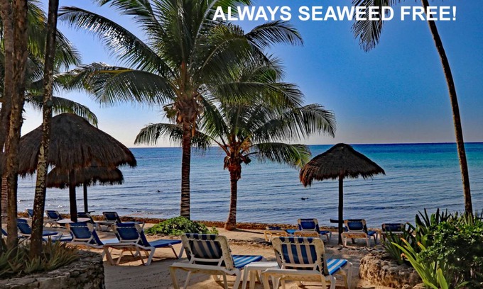 Akumal Condo | 139 m² Condo ∙ 2 bedrooms ∙ 5 guests