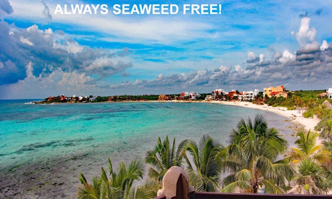 Akumal Condo | 139 m² Condo ∙ 2 bedrooms ∙ 5 guests