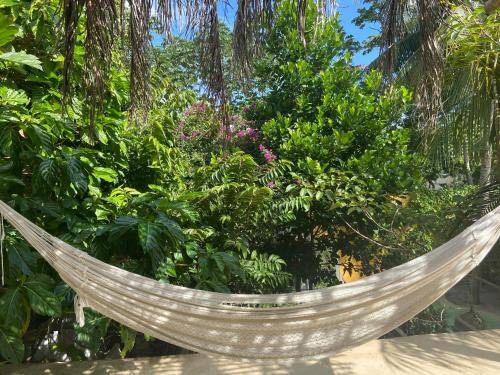 Puerto Juarez Bed & Breakfast | 18 m² Bed and breakfast ∙ 2 guests