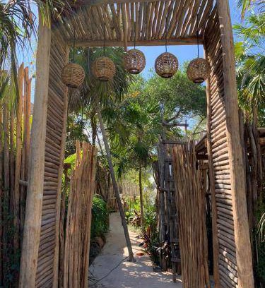 Zona Hotelera Bed & Breakfast | 29 m² Bed and breakfast ∙ 4 guests