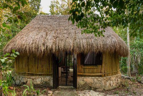 Cozumel Resort | 40 m² Resort ∙ 1 bedroom ∙ 4 guests