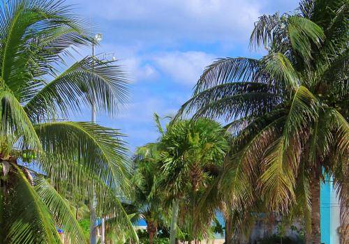 Puerto Morelos Apartment | 45 m² Apartment ∙ 2 guests