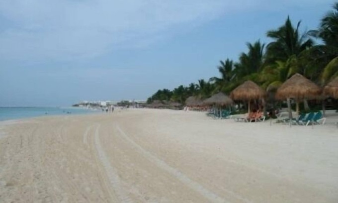 Zazil-ha Condo | Beautiful 2 Bedroom Condo Steps Away from Beach and 5th Avenue