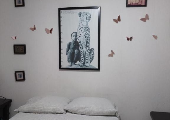 Cancun House | Casa Mariposas