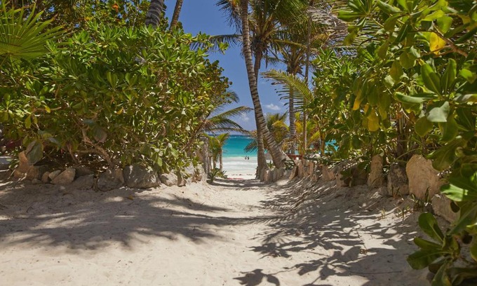 Zona Hotelera Hotel | Dos Ceibas Tulum - Feel Good Hotel