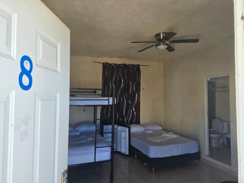 Akumal Hostel | El Padrino