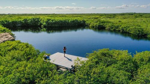 Zona Hotelera Hotel | Hotel Cormoran Tulum & Cenote