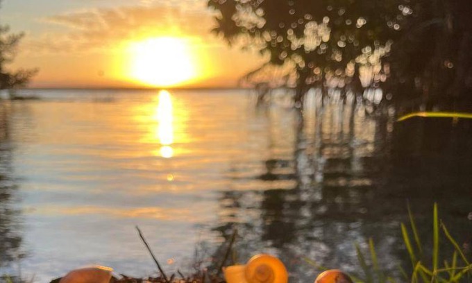 Bacalar House | House ∙ 2 bedrooms ∙ 8 guests