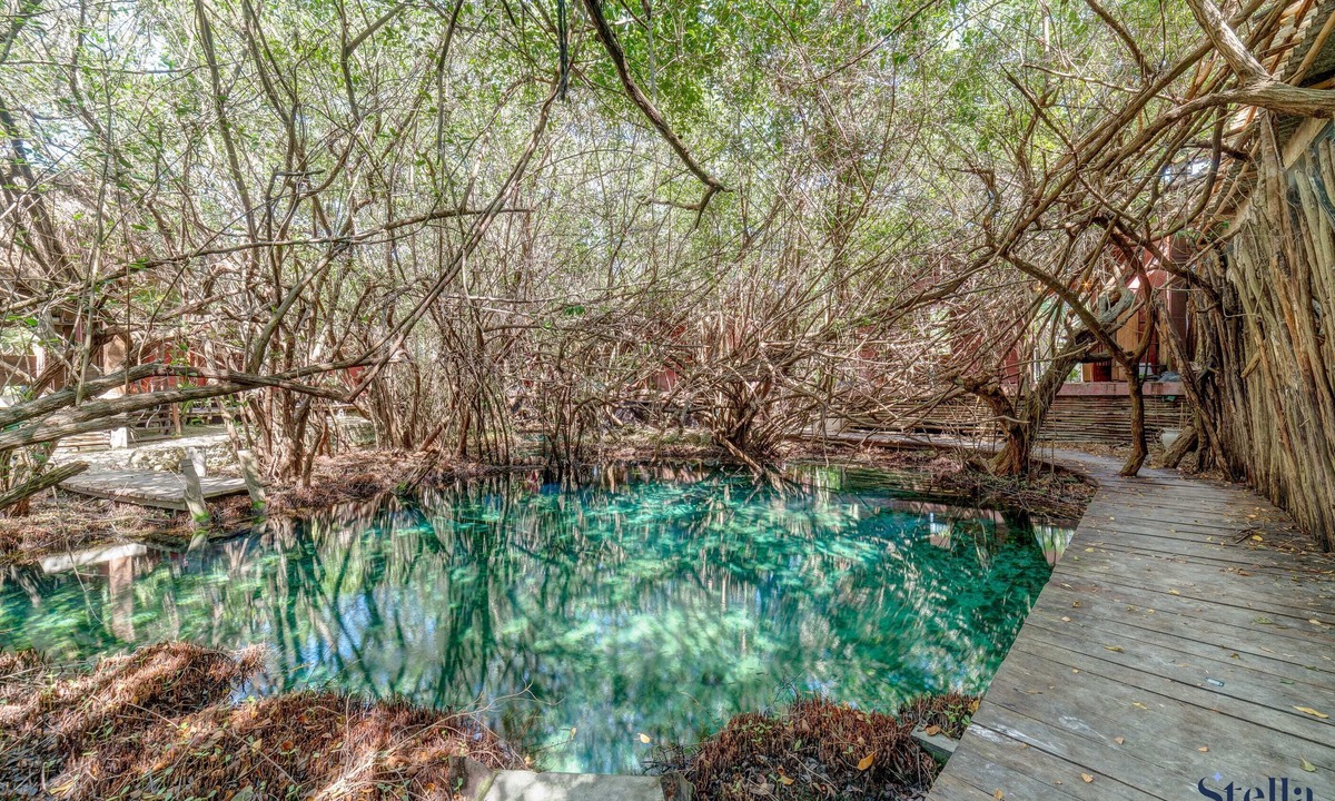 Zona Hotelera Apartment | NEW Jungle Studio, Pool and 2 Cenotes, Beach 200m!