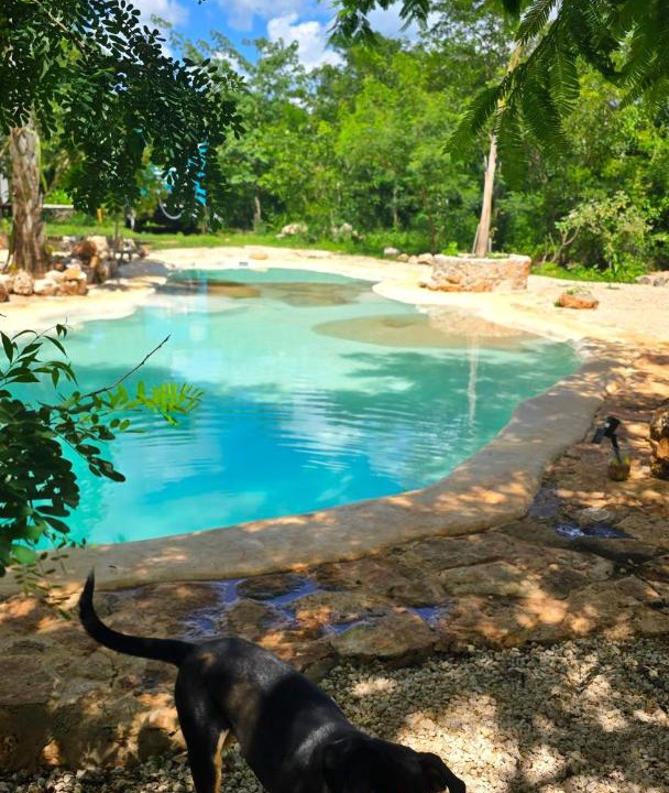 Dzemul House | Jungle ranch Casita with Cenote style pool and AC