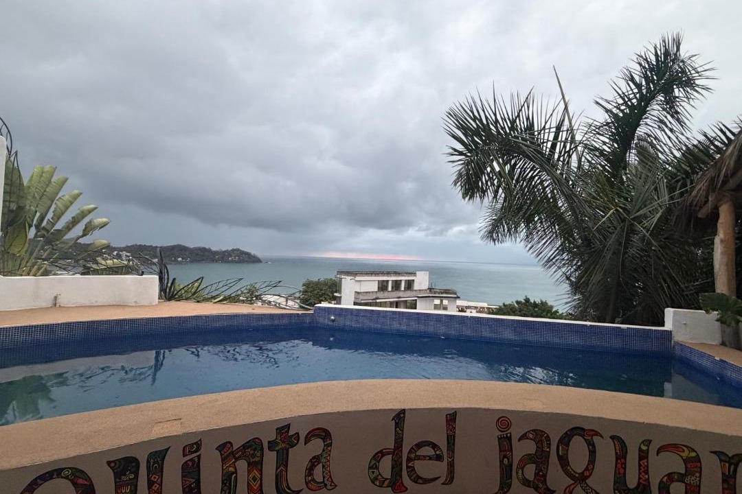 North End Villa | Quinta del jaguar a connection with a nature