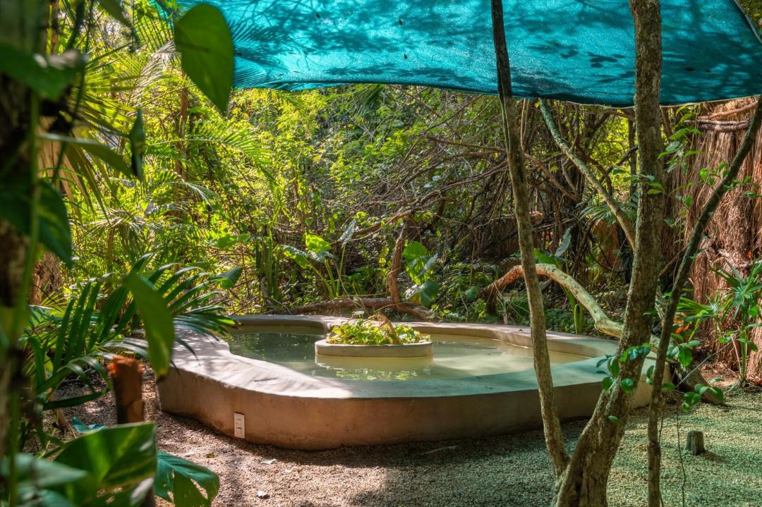 Chemuyil Apartment | Jungle Glamping K'u' Kuk