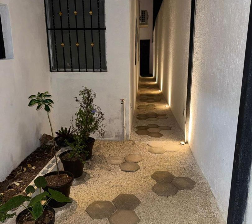 Merida House | Loft's PB