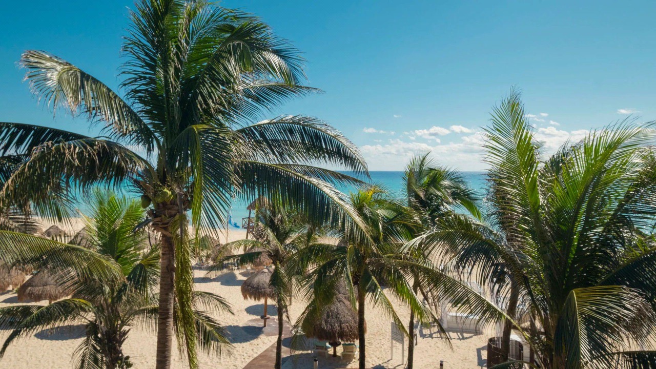 Photo of Others in Playacar Zona Hotelera