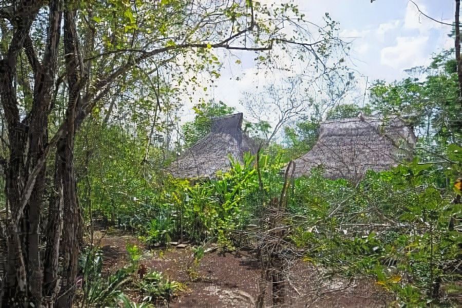 Photo of Others in Coba