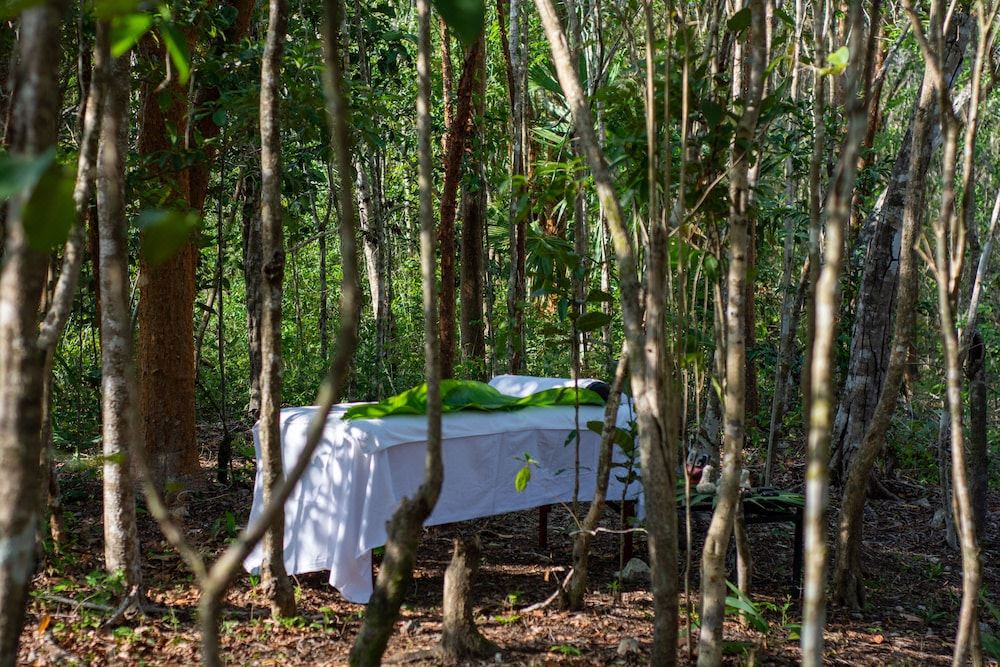 Photo of Patio Balcony in Coba