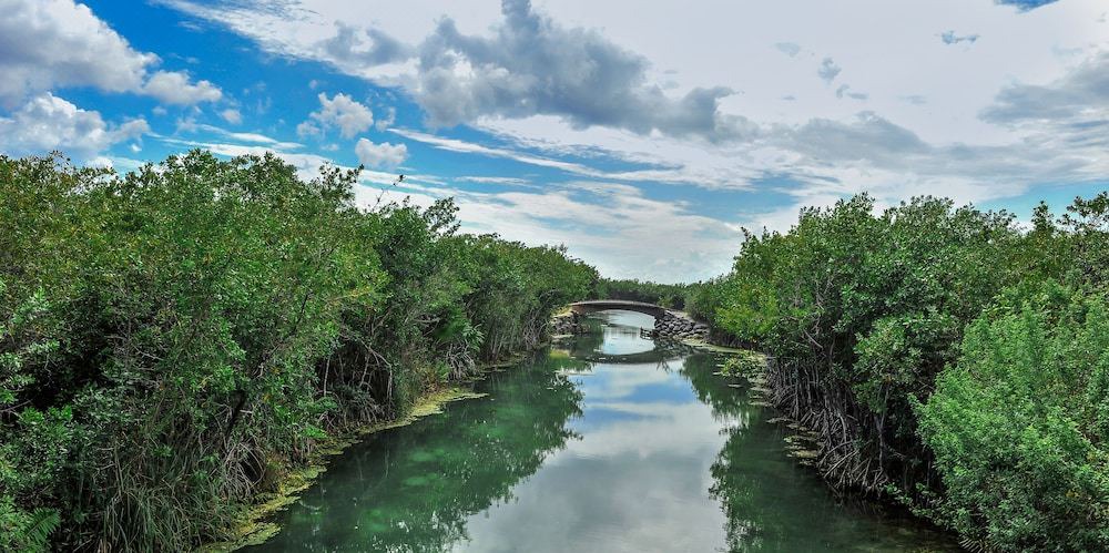 Photo of Outdoor in Mayakoba