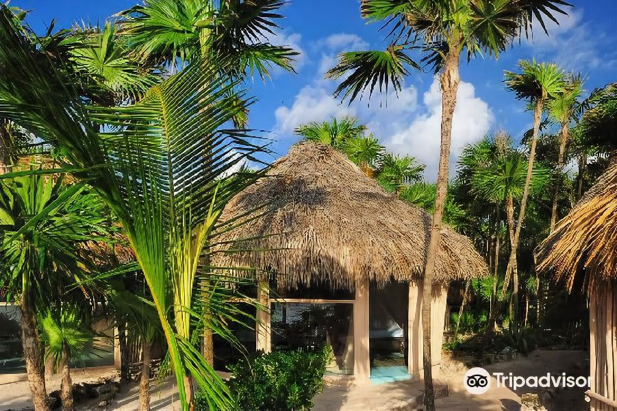 Photo of Others in Playa Paraiso