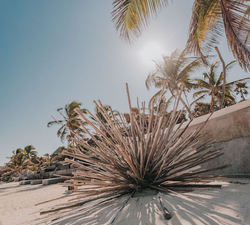 Photo of Others in Playa Paraiso