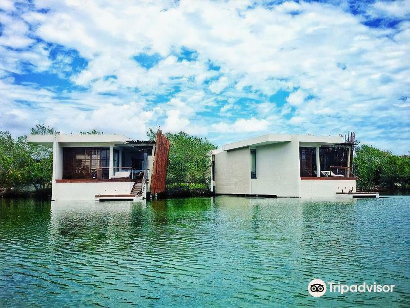Photo of Others in Mayakoba